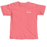 Salt and Light&nbsp;, a Watermelon Comfort Colors Unisex Tee (back-view)