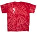 Never Surrender, a Red Classic Tie Dye Tee