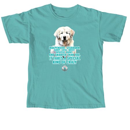 TGPR 25th Anniversary Ts #4: Kind of Crazy, a Seafoam Comfort Colors Unisex Tee