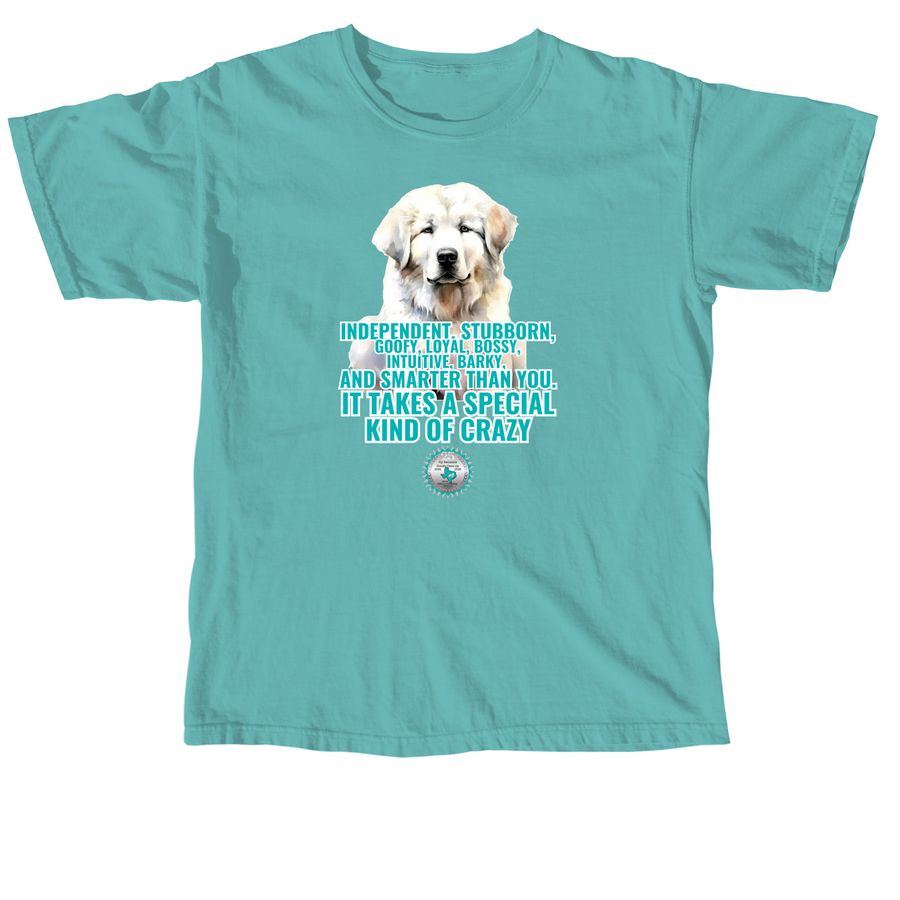 TGPR 25th Anniversary Ts #4: Kind of Crazy, a Seafoam Comfort Colors Unisex Tee