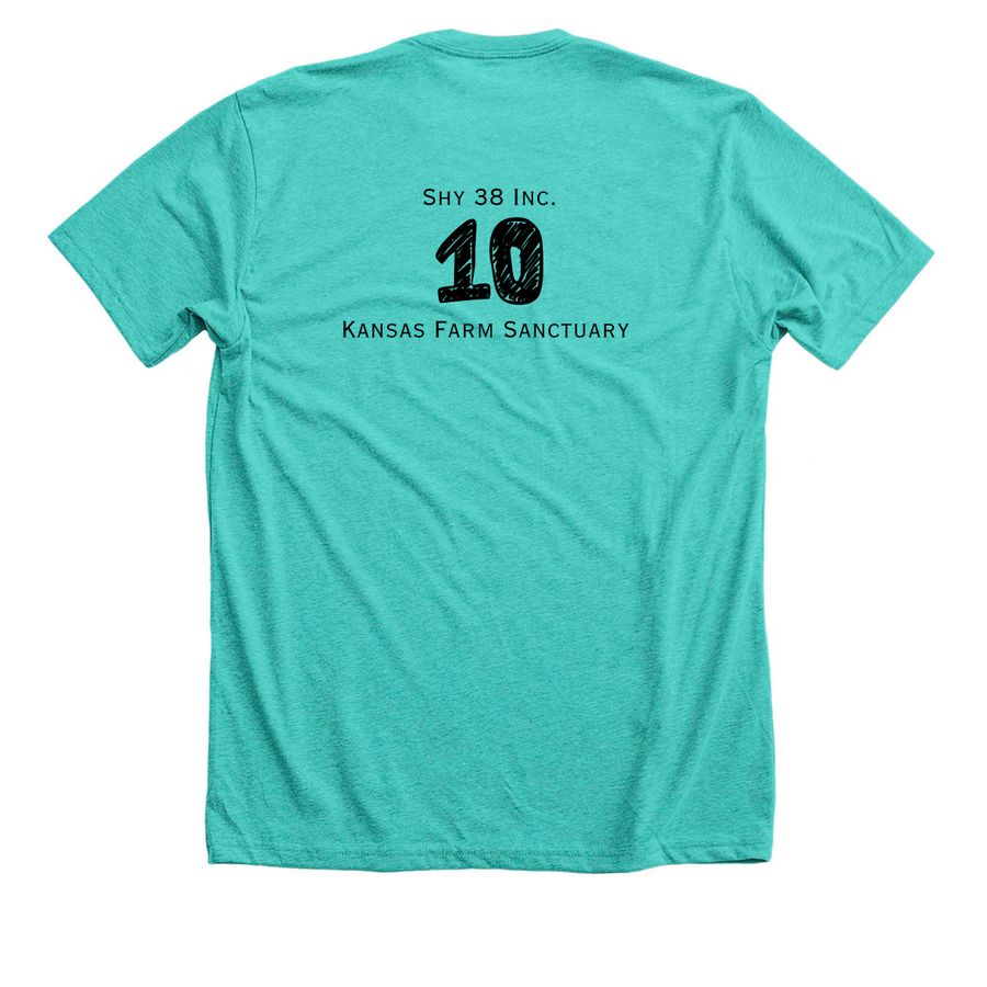 Shy 38 Inc's 10th Anniversary&nbsp;, a Heather Sea Green Premium Unisex Tee (back-view)
