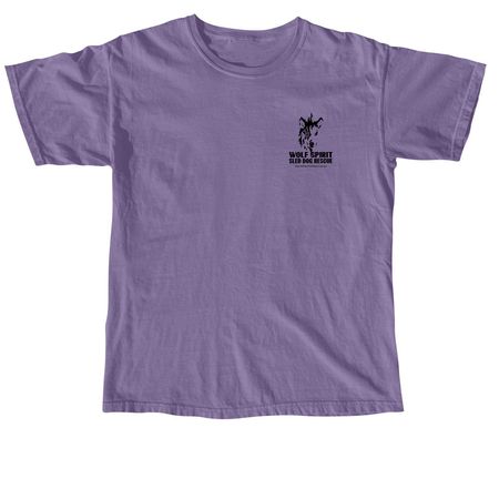 WSSDR HALLOWEEN #2, a Grape Comfort Colors Unisex Tee