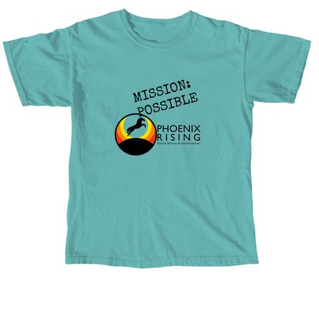 Mission Possible, a Seafoam Comfort Colors Unisex Tee