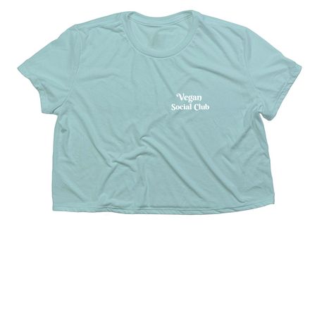 VSC Tees, Crop Tops & Zip-up, a Dusty Blue Women?s Flowy Cropped Tee