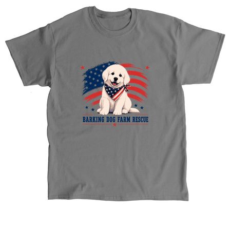 Patriotic Pyr T, a Charcoal Classic Unisex Tee
