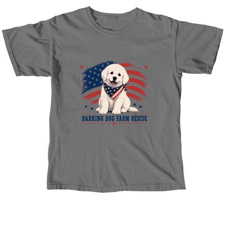 Patriotic Pyr T, a Grey Comfort Colors Unisex Tee