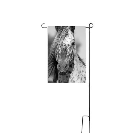 Lord Xalvador&nbsp;, a White 12" x 18" Yard Flag with Stake