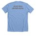 find joy in the little things, a Heather Carolina Blue Premium Unisex Tee (back-view)