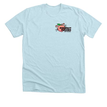Color Logo - Front and Back, a Heather Ice Blue Premium Unisex Tee