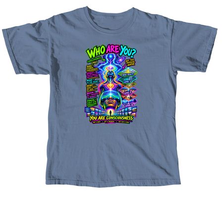Level up&nbsp;, a Blue Jean Comfort Colors Unisex Tee