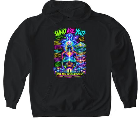 Level up&nbsp;, a Black Gildan Softstyle Pullover Hoodie