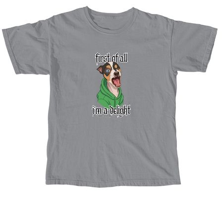 I'm a Delight, a Granite Comfort Colors Unisex Tee