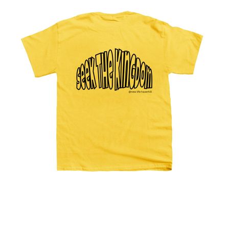 Seek the kingdom, a Daisy Youth Unisex Tee (back-view)