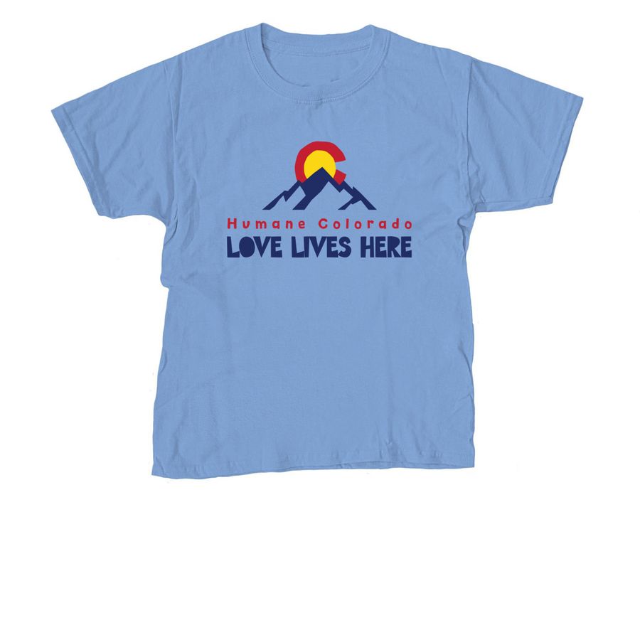 Love Lives Here, a Carolina Blue Youth Unisex Tee