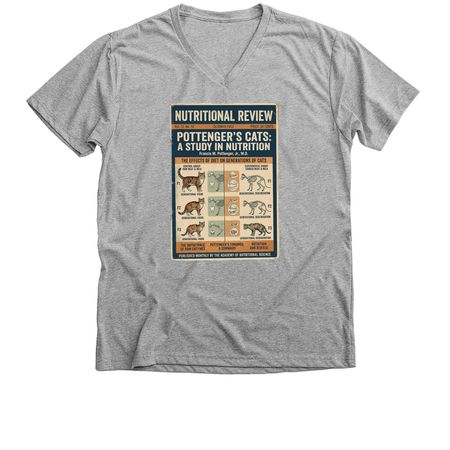 The Raw and the Rendered, a Athletic Heather Premium V-Neck Tee