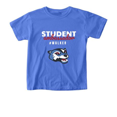 Student Ambassador Tee, a Flo Blue Comfort Colors Youth Tee