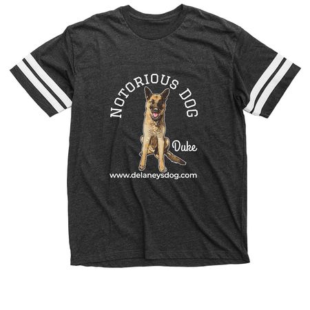 Notorious DOG - Duke, a Vintage Smoke / White Football Jersey Tee