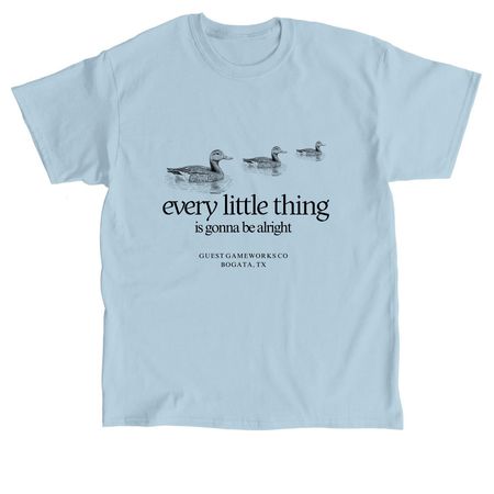 every little thing, a Light Blue Classic Unisex Tee