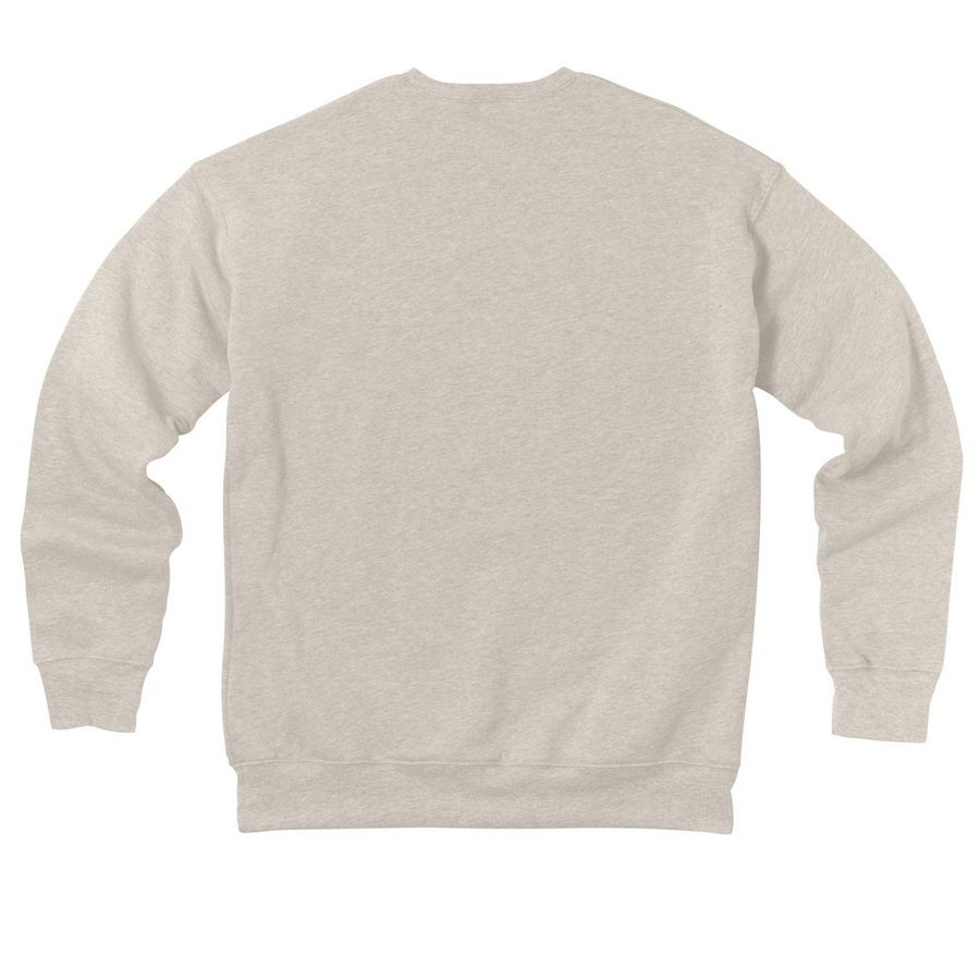 Training with the Trium, a Heather Dust Premium Drop Shoulder Sweatshirt (back-view)