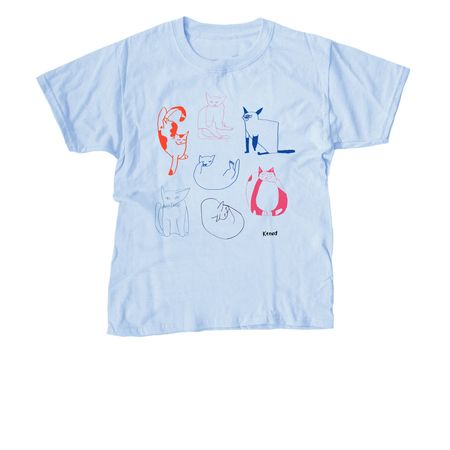 Catnip Tee&nbsp;, a Light Blue Youth Unisex Tee