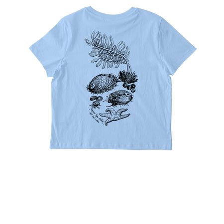 ytt Tribe Land Back, a Blue Soul Stanley/Stella Women?s Stella Muser Tee