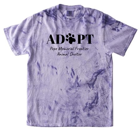 PMFAS Diva Shirts&nbsp;, a Amethyst Comfort Colors Colorblast Tee