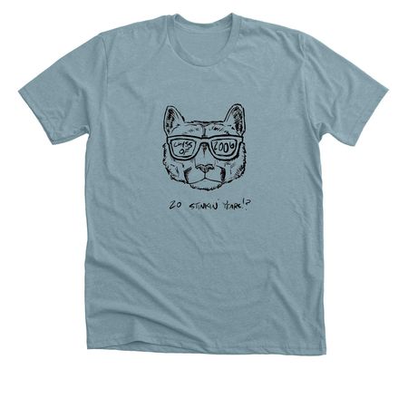 20 Stinkin Years!, a Heather Blue Lagoon Premium Unisex Tee