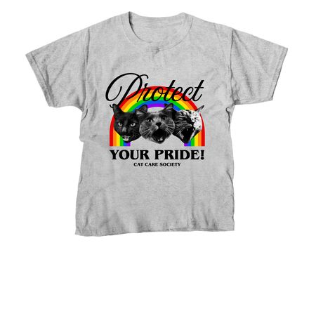 Protect Your Pride Shirts, a Sport Grey Youth Unisex Tee