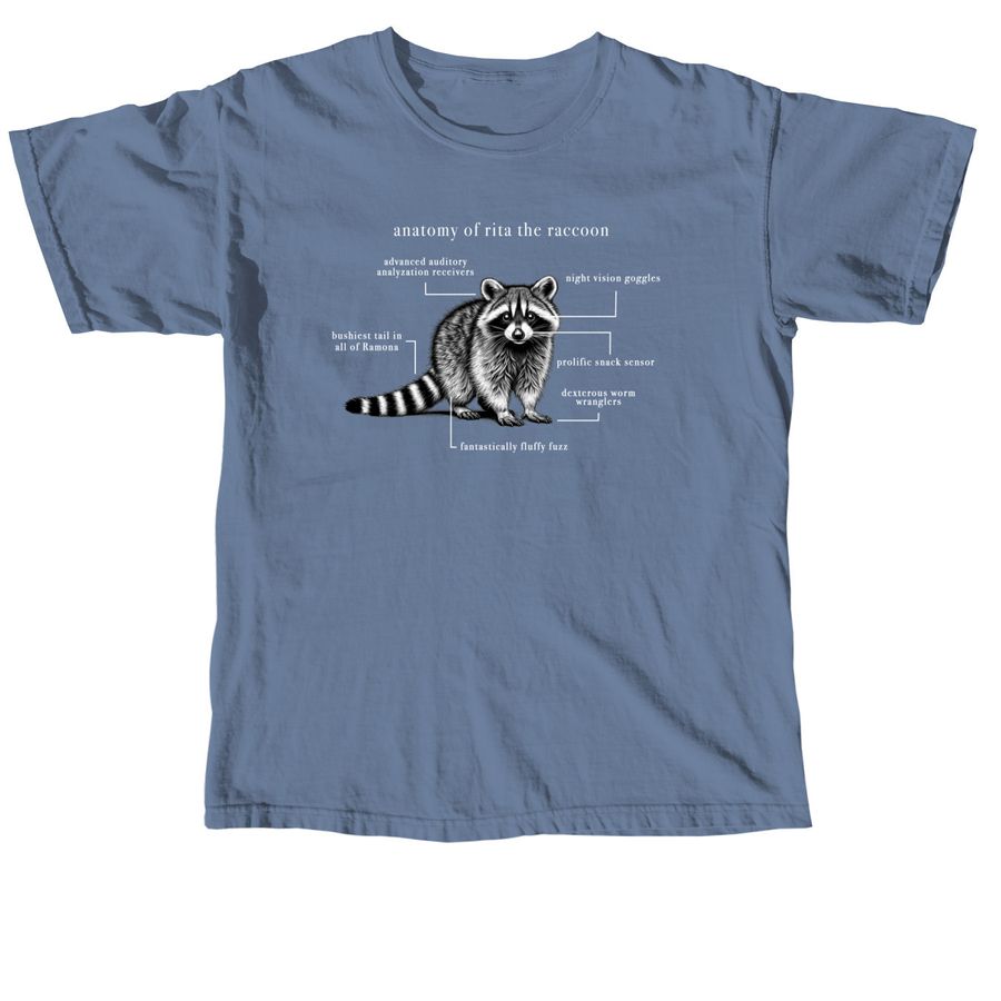 Anatomy of Rita, a Blue Jean Comfort Colors Unisex Tee