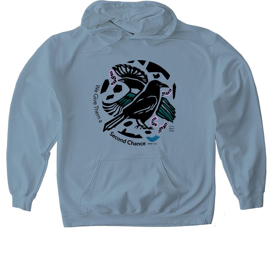 We Give Them a Second Chance, a Stone Blue Gildan Softstyle Pullover Hoodie
