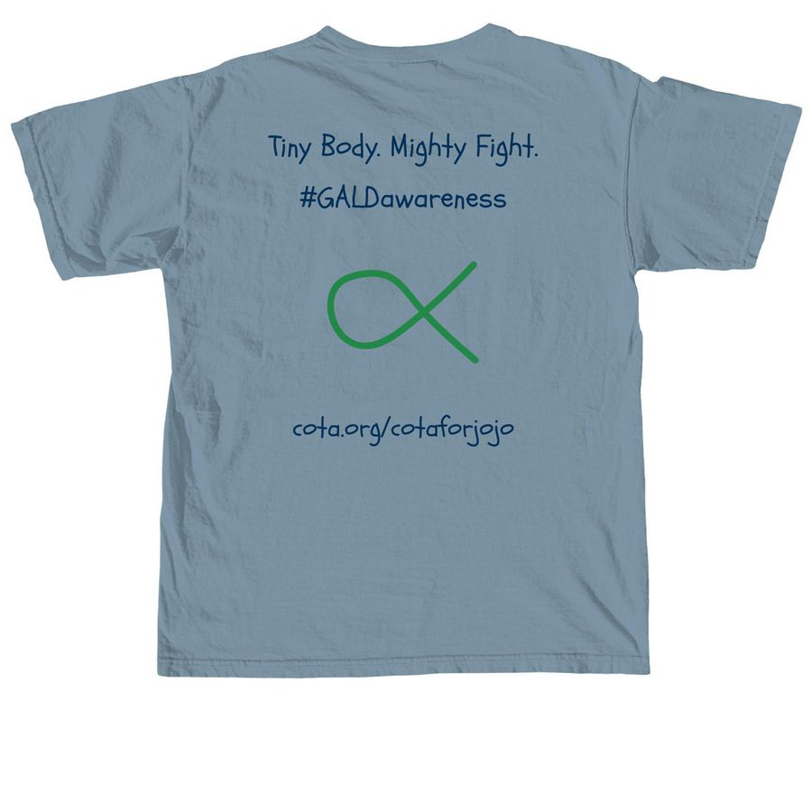 COTA For JoJo, a Ice Blue Comfort Colors Unisex Tee (back-view)