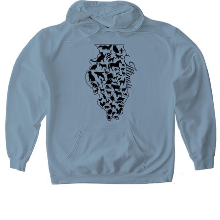 Welcome to Illinois!, a Stone Blue Gildan Softstyle Pullover Hoodie