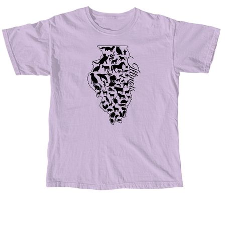 Welcome to Illinois!, a Orchid Comfort Colors Unisex Tee