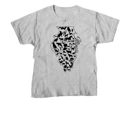 Welcome to Illinois!, a Sport Grey Youth Unisex Tee
