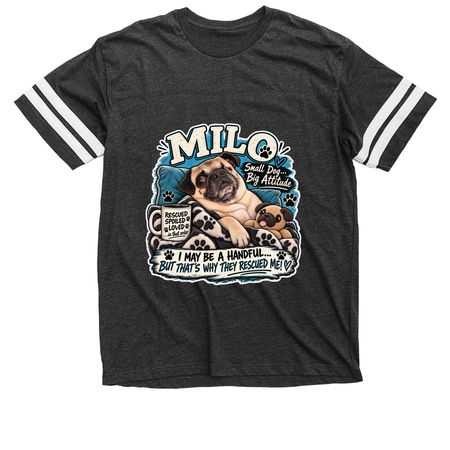 Milo&nbsp;, a Vintage Smoke / White Football Jersey Tee