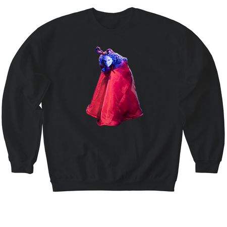 Trickster, a Black Softstyle Crewneck Sweatshirt