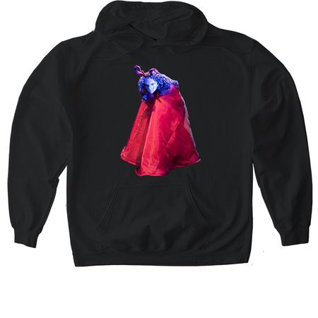 Trickster, a Black Gildan Softstyle Pullover Hoodie
