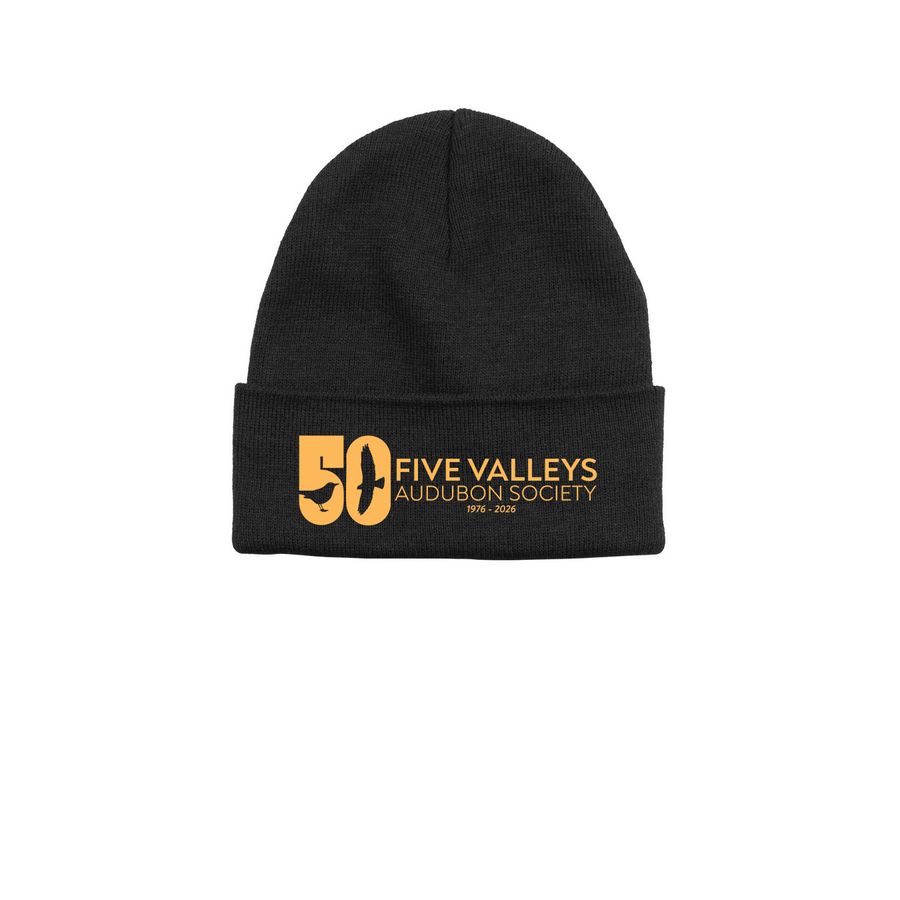 50th Beanie, a Black Printed Base Camp Beanie