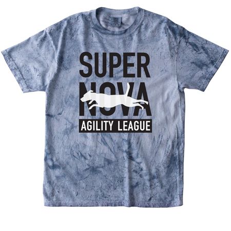 Colorblast Tees, a Ocean Comfort Colors Colorblast Tee