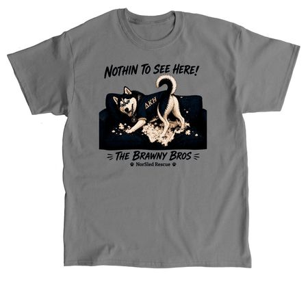 Nothin to See Here!, a Charcoal Classic Unisex Tee