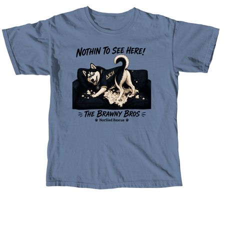 Nothin to See Here!, a Blue Jean Comfort Colors Unisex Tee