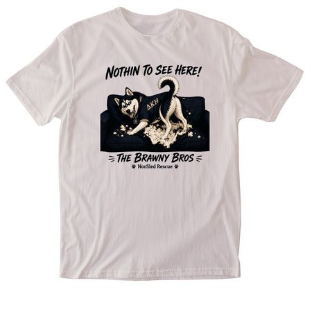 Nothin to See Here!, a Ice Grey Softstyle Cotton Tee