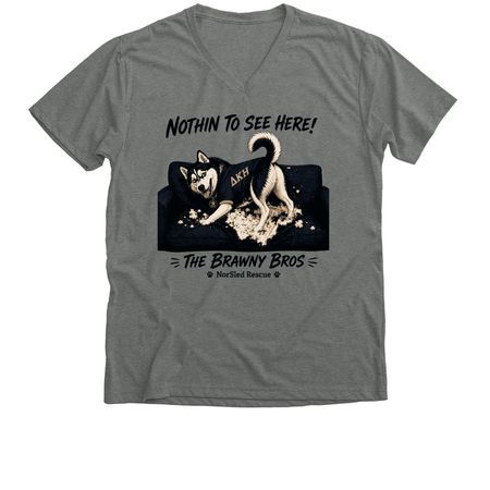 Nothin to See Here!, a Deep Heather Premium V-Neck Tee
