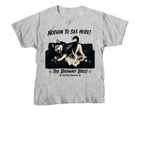 Nothin to See Here!, a Sport Grey Youth Unisex Tee