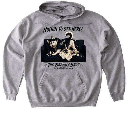 Nothin to See Here!, a Sport Grey Gildan Softstyle Pullover Hoodie
