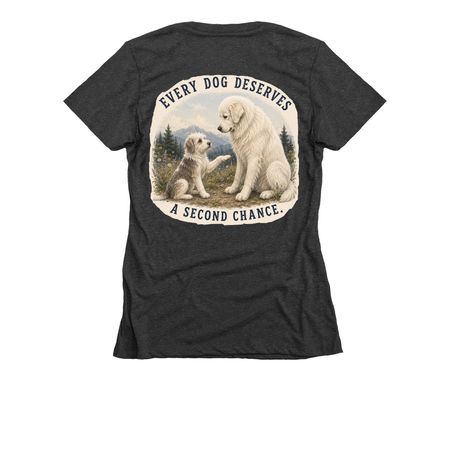 Every Dog Deserves a Second Chance, a Charcoal Women's Slim Fit Tee