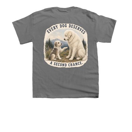 Every Dog Deserves a Second Chance, a Charcoal Youth Unisex Tee