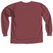 Team Karl, a Brick Comfort Colors Long Sleeve Tee (back-view)