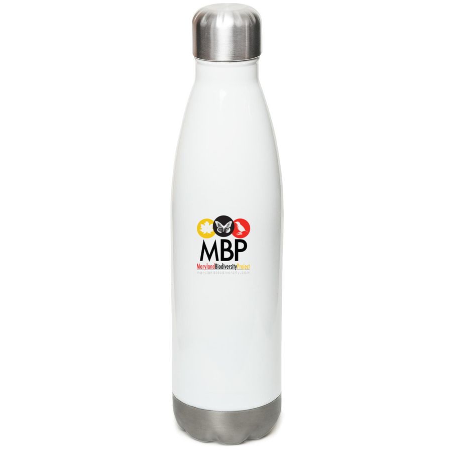 Stainless Steel Water Bottle, a White Stainless Steel Water Bottle