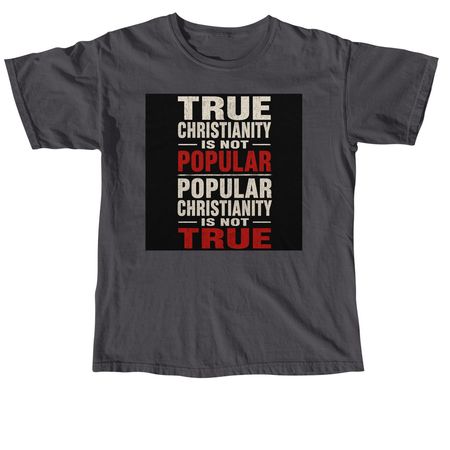 Matthew 16:24, a Graphite Comfort Colors Unisex Tee